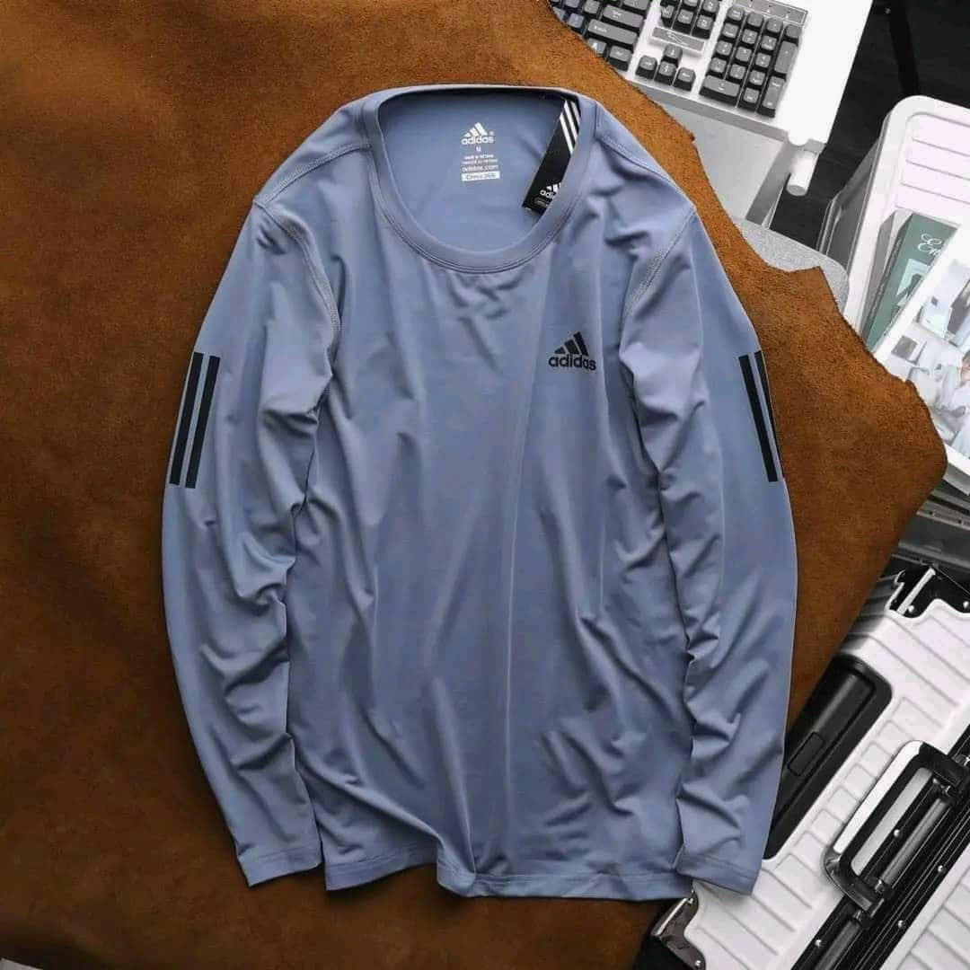 Man 's premium full sleeve t-shirt.